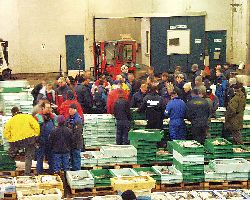 Göteborgs Fiskauktion