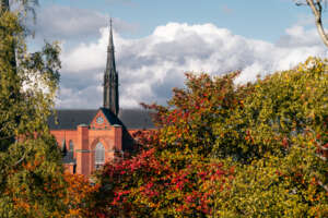 Uppsala Domkyrkan